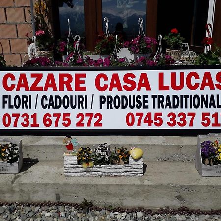 Casa Lucas Hotel Bradu  Bagian luar foto