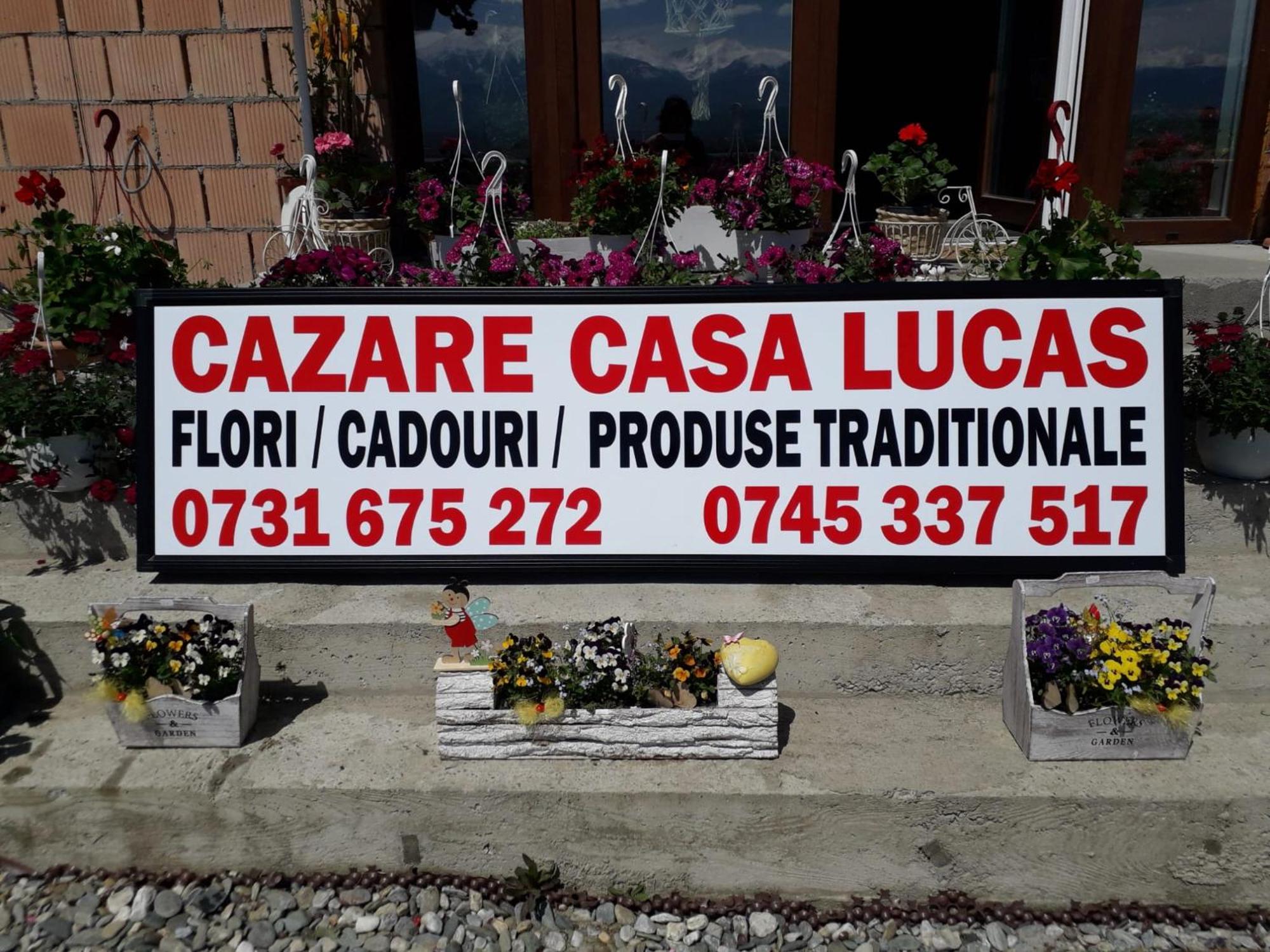 Casa Lucas Hotel Bradu  Bagian luar foto
